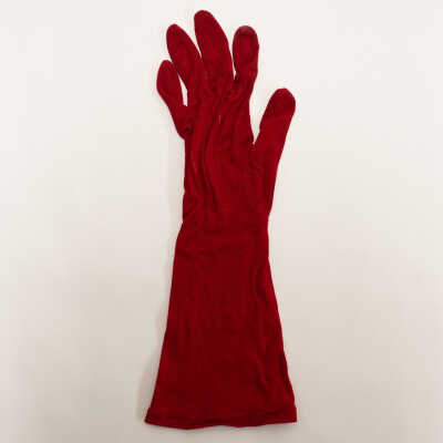 Glove