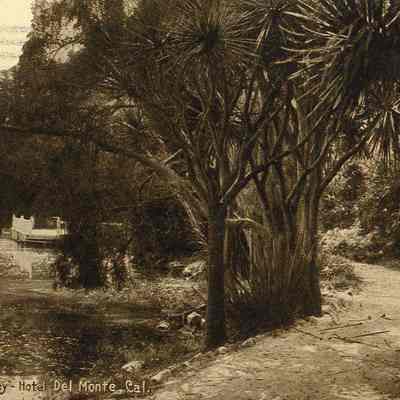 Hotel del Monte Postcard