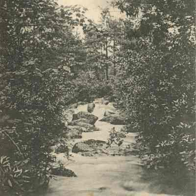 Maple Falls Postcard