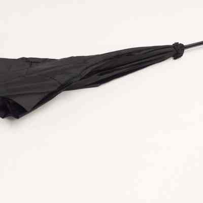 Black Parasol