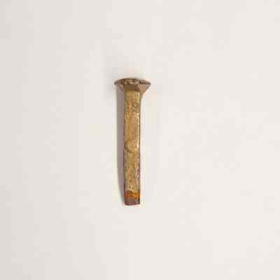 Wildcat Railroad Golden Spike