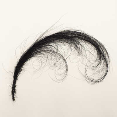 Feather Decoration