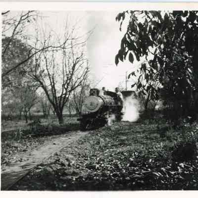 Wildcat Railroad Steam Engine