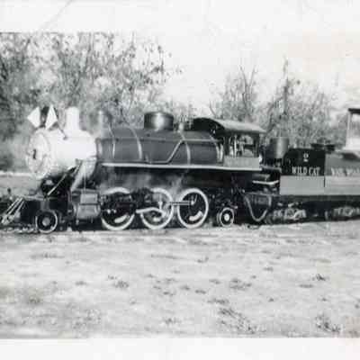 Wildcat Railroad Train