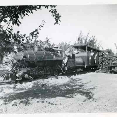 Wildcat Railroad Train