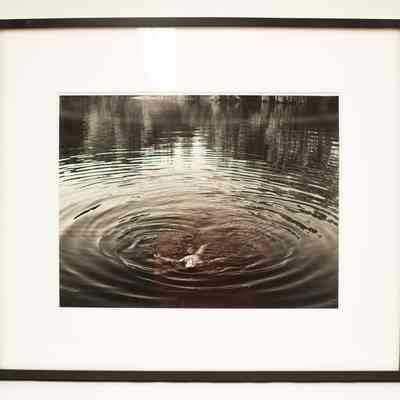 Swimmer from the Dream Sequence: Into the Heart of Darkness and Light