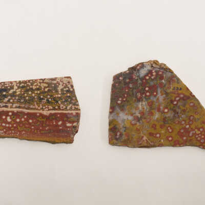 Guadalupe "Poppy Jasper" Specimens