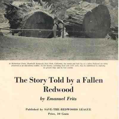 The Story Told by a Fallen Redwood