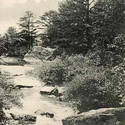 Wolf Rock Postcard