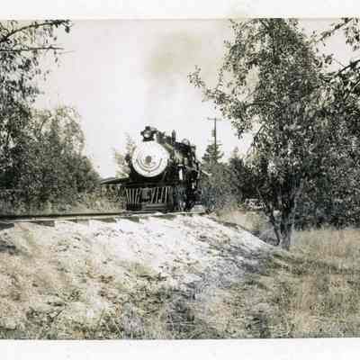 Wildcat Railroad Steam Engine