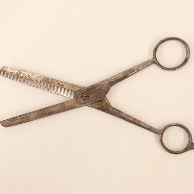 Keen Edge Thinning Shears
