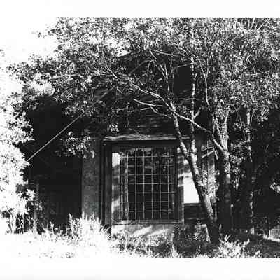 Photograph of Cathedral Oaks, Photocopy