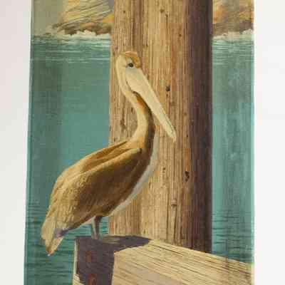 Pelican Rest