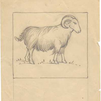 Ram