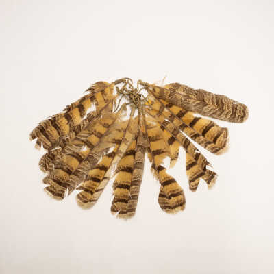 Feather Ornament