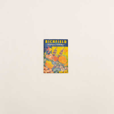 Wildflower Seeds