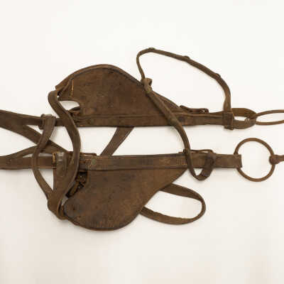 Horse Bridle