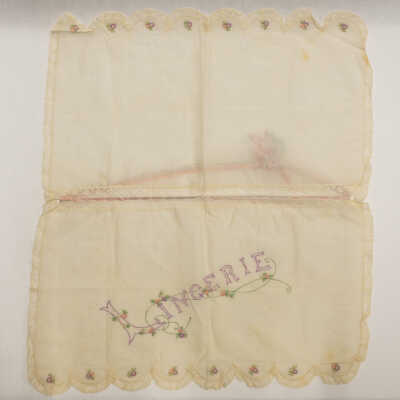 Lingerie Bag