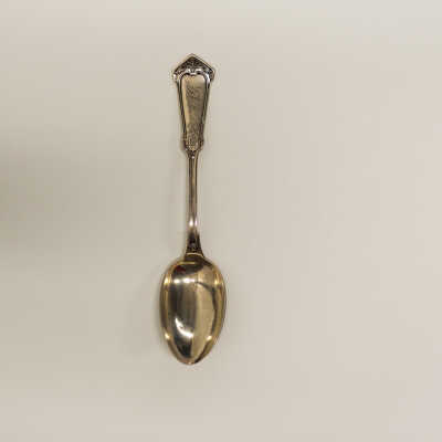 Silver Spoon