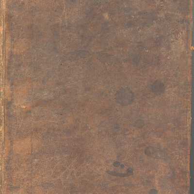 German Bible