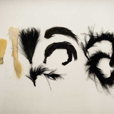 Assorted Feathers