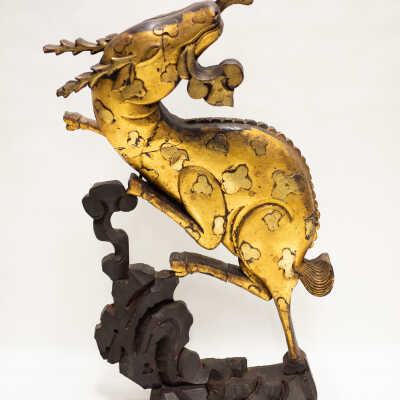 Golden Deer