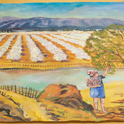 Girl Picking Fruit in a Field