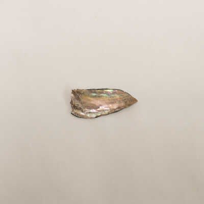 Abalone Shard