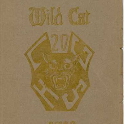 The Wildcat, 1920