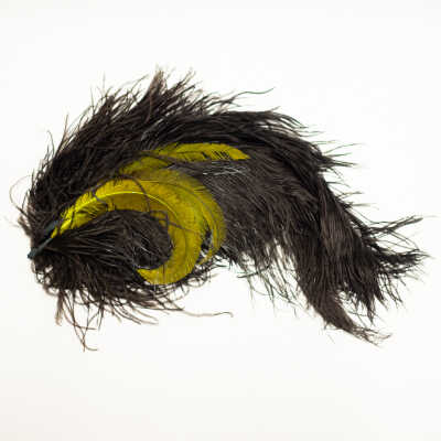 Assorted Ostrich Feathers