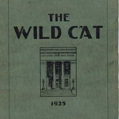 The Wildcat, 1925