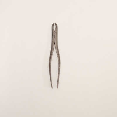 Dental Forceps