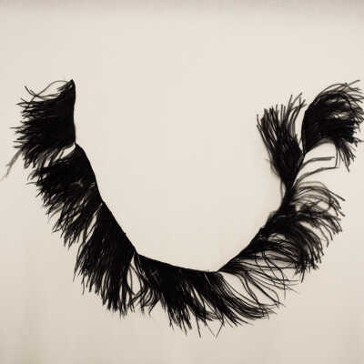 Strand of Feathers