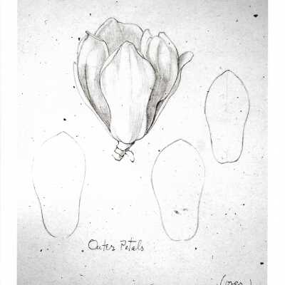 Frank Ingerson and Drawing