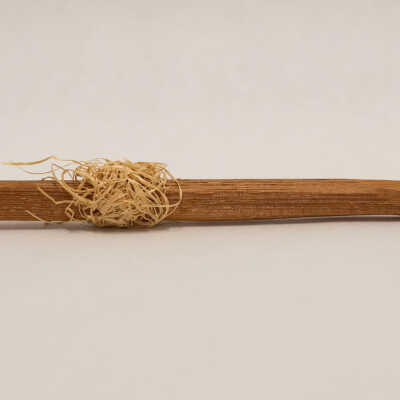 Wood Stick with Hay