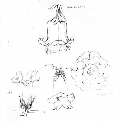 Various Drawings