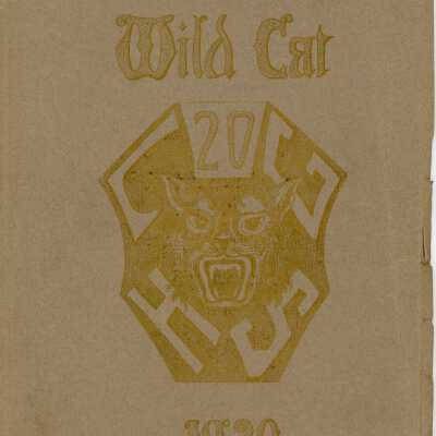 The Wildcat, 1920