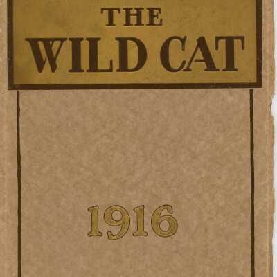 The Wildcat, June 1916