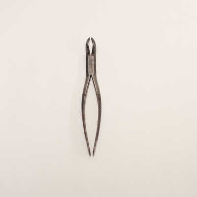 Dental Forceps