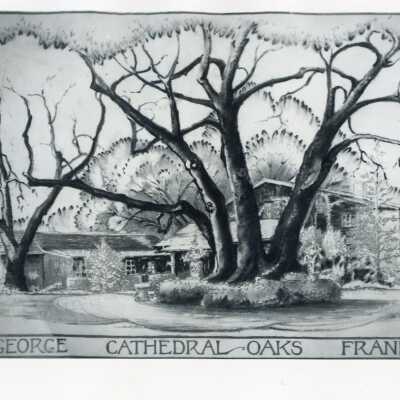 Cathedral Oaks