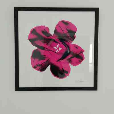 POP ROC LIMITED PRINT BY SHEONE PINK VERSION