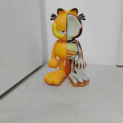 GARFIELD XXRAY+