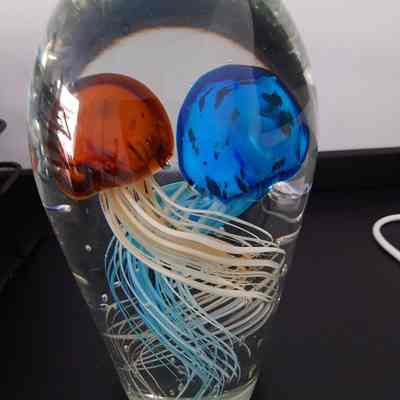 JELLYFISH