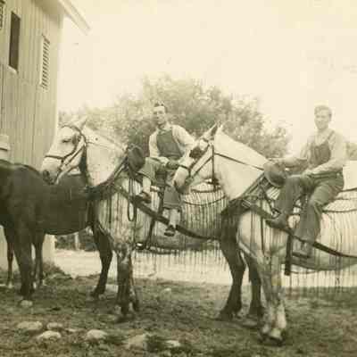 Men and Horses