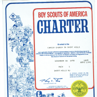 Scouts: Boy Scouts of America Charter