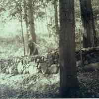          Arboretum: Benne Building Wall of Arboretum picture number 1
   