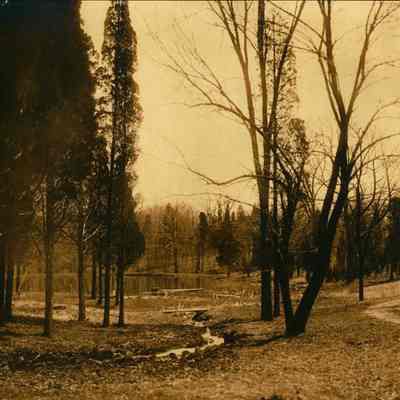 Hartshorn Photo Album Short Hills:
