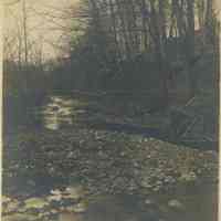 Rahway River from Footbridge, Millburn