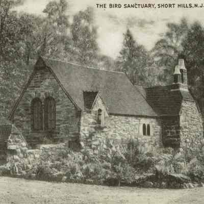 Arboretum: The Bird Sanctuary, 1953