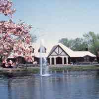 Taylor Park: Recreation Building, Pond an Cherry Blossoms, 1976-1993